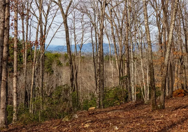 1st image of Lot 116 Pine Harbor Wy, Salem, SC 29676 | MLS# 20297604