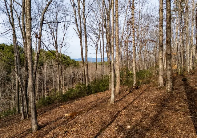 2nd image of Lot 116 Pine Harbor Wy, Salem, SC 29676 | MLS# 20297604