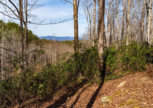 1st image of Lot 118 Pine Harbor Wy, Salem, SC 29676 | MLS# 20297607