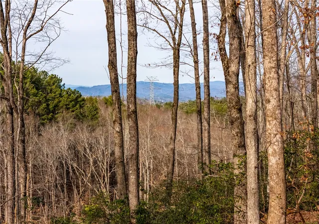 2nd image of Lot 118 Pine Harbor Wy, Salem, SC 29676 | MLS# 20297607