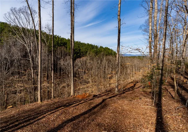 3rd image of Lot 118 Pine Harbor Wy, Salem, SC 29676 | MLS# 20297607