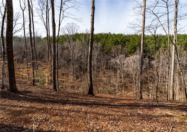 5th image of Lot 118 Pine Harbor Wy, Salem, SC 29676 | MLS# 20297607