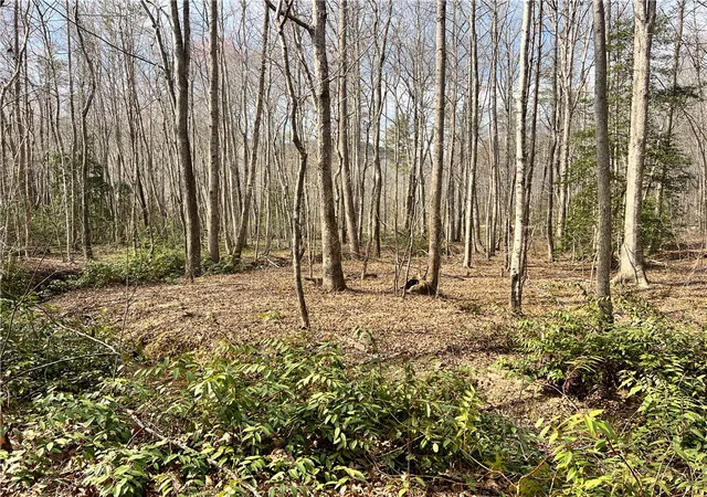 26th image of 2131 Oak Grove Rd, Landrum, SC 29356 | MLS# 20297895