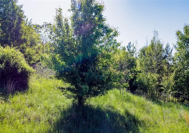 Photo 1 of Land for sale at 1003 Fallon Ln, Anderson, SC 29625 | MLS# 20297932 | Listing updated on 2026-06-14