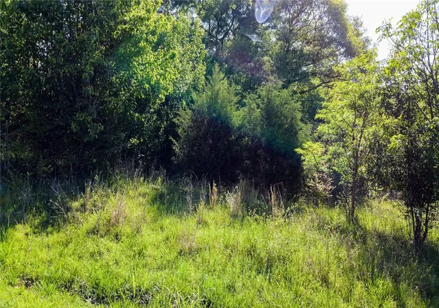 Photo 2 of Land for sale at 1003 Fallon Ln, Anderson, SC 29625 | MLS# 20297932 | Listing updated on 2026-06-14