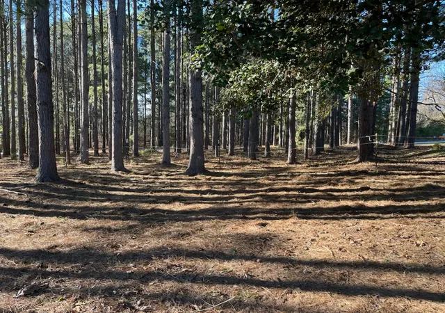 Homes for sale in Campobello, SC | 2075 Mount Lebanon Rd, Campobello, SC 29322 | MLS# 20297950