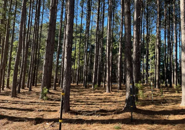 Homes for sale in Campobello, SC | 2075 Mount Lebanon Rd, Campobello, SC 29322 | MLS# 20297950