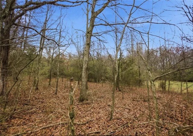 Photo 4 of Land for sale at 00 Bell Rd, Belton, SC 29627 | MLS# 20297648 | Listing updated on 2026-04-14