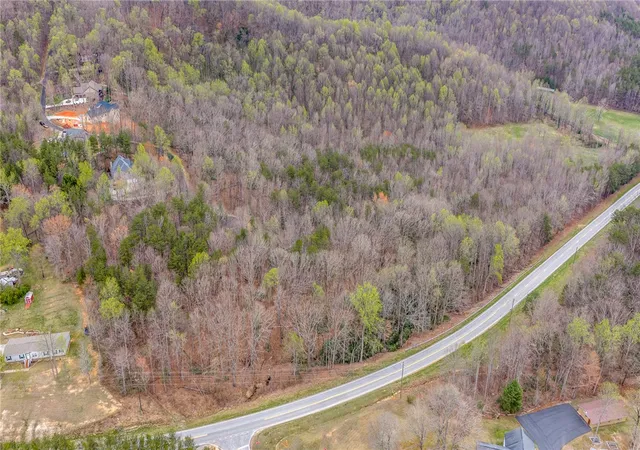 Homes for sale in Landrum, SC | 56 Angleblade Rd, Landrum, SC 29356 | MLS# 20298056