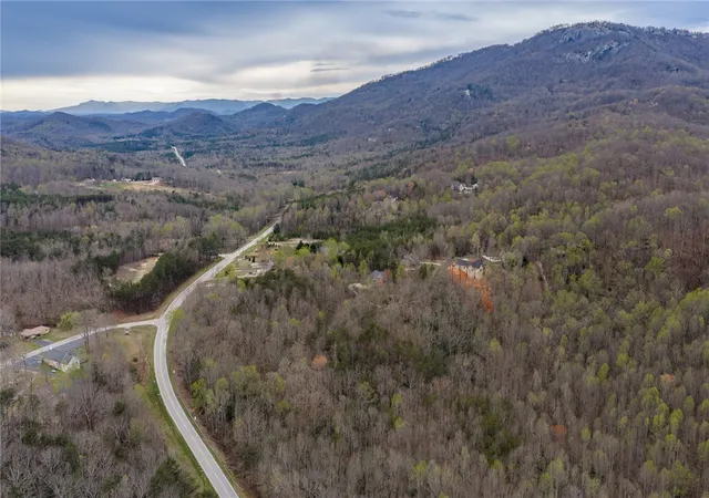 Homes for sale in Landrum, SC | 56 Angleblade Rd, Landrum, SC 29356 | MLS# 20298056