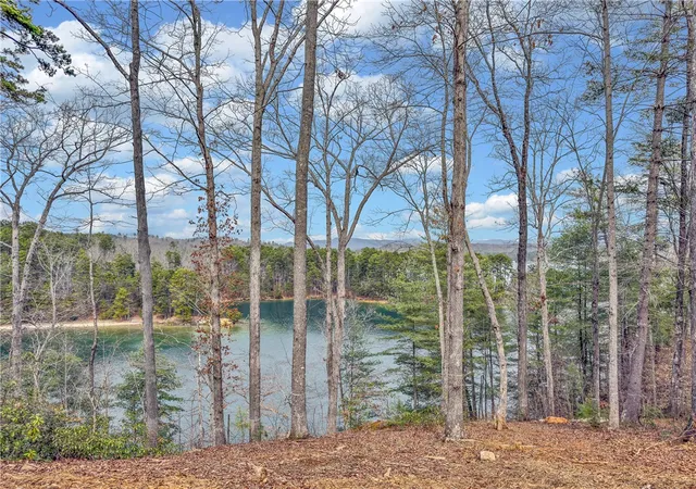 Photo 1 of Land for sale at 731 Barberry Ct, Salem, SC 29676 | MLS# 20298243 | Listing updated on 2026-06-02