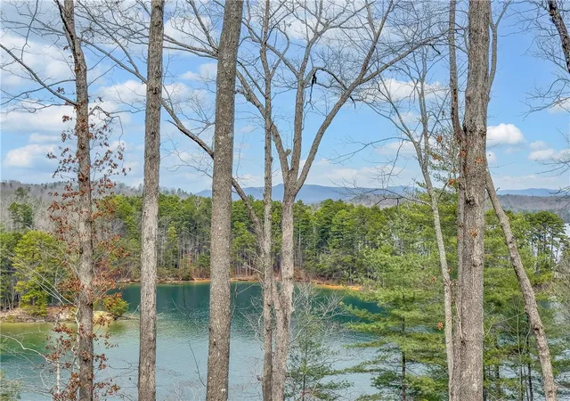 Photo 2 of Land for sale at 731 Barberry Ct, Salem, SC 29676 | MLS# 20298243 | Listing updated on 2026-06-02