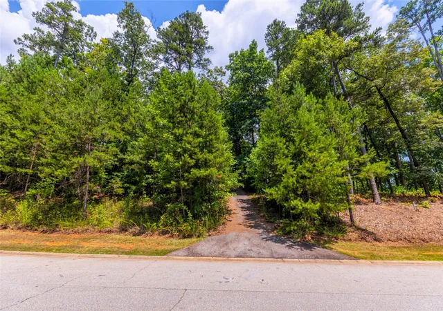 4th image of Lot 64 Riverstone Dr, Salem, SC 29676 | MLS# 20298335