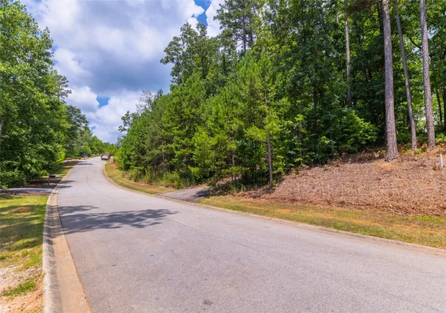 5th image of Lot 64 Riverstone Dr, Salem, SC 29676 | MLS# 20298335