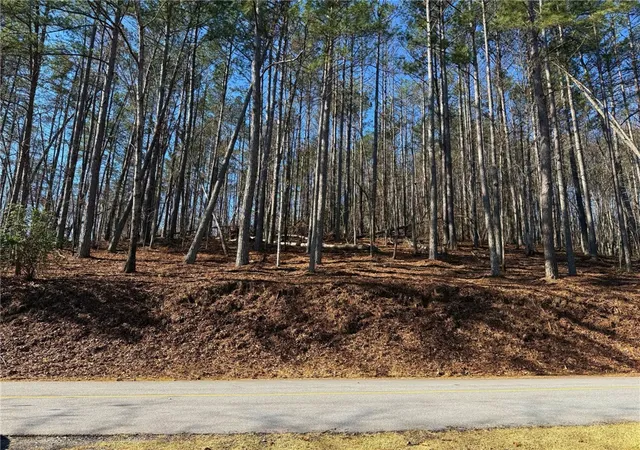Photo 2 of Land for sale at 123 Stillwater Ct, Sunset, SC 29685 | MLS# 20298169 | Listing updated on 2026-03-11