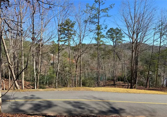 Photo 4 of Land for sale at 123 Stillwater Ct, Sunset, SC 29685 | MLS# 20298169 | Listing updated on 2026-03-11