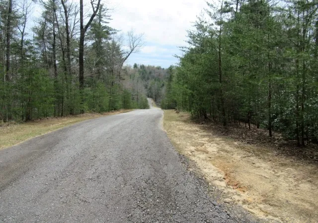 Photo 1 of Land for sale at 315 Falcon Crst Way, Pickens, SC 29671 | MLS# 20298510 | Listing updated on 2026-03-12
