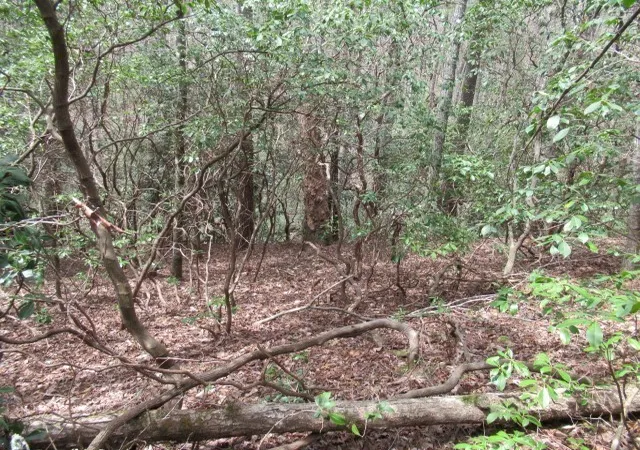 Photo 3 of Land for sale at 315 Falcon Crst Way, Pickens, SC 29671 | MLS# 20298510 | Listing updated on 2026-03-12