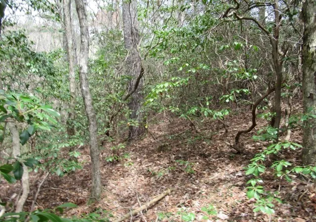 Photo 3 of Land for sale at 315 Falcon Crst Way, Pickens, SC 29671 | MLS# 20298510 | Listing updated on 2026-03-12