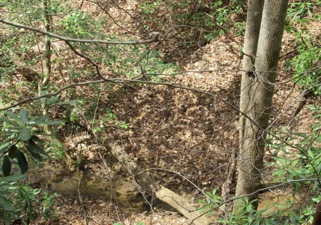 Photo 4 of Land for sale at 315 Falcon Crst Way, Pickens, SC 29671 | MLS# 20298510 | Listing updated on 2026-03-12