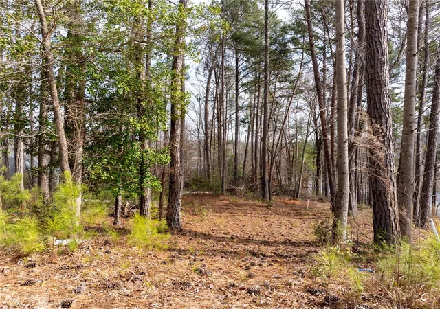 15th image of 537 Peninsula Rd, West Union, SC 29696 | MLS# 20298586
