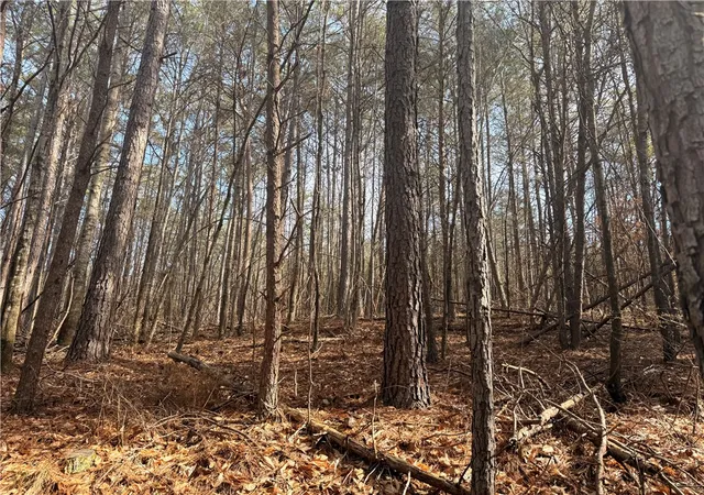 Photo 3 of Land for sale at 000 S Retreat Rd, Westminster, SC 29693 | MLS# 20298696 | Listing updated on 2026-07-02