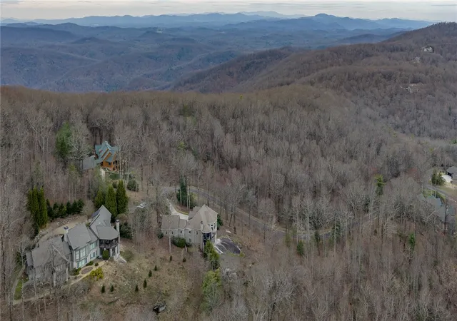 48th image of 315 Blazing Star Trl, Landrum, SC 29356 | MLS# 20299029