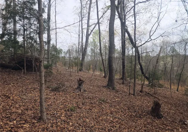 16th image of 00 Boyds Mill Pond Rd, Laurens, SC 29360 | MLS# 20299098