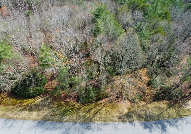 Photo 3 of Land for sale at 107 Bell Flower Dr, Sunset, SC 29685 | MLS# 20298854 | Listing updated on 2026-03-27