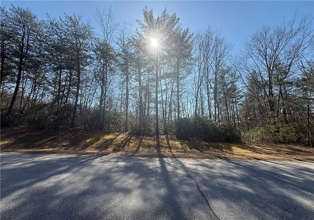 Photo 4 of Land for sale at 107 Bell Flower Dr, Sunset, SC 29685 | MLS# 20298854 | Listing updated on 2026-03-27