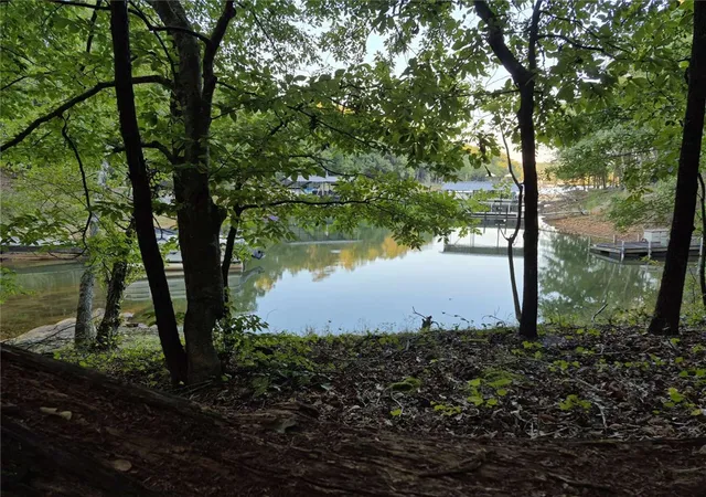Land for sale at 207 Turk Rd, Townville, SC 29689 | MLS# 20299202