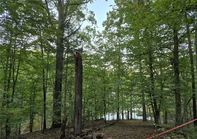 Photo 2 of House for sale at 207 Turk Rd, Townville, SC 29689 | MLS# 20299202 | Listing updated on 2026-07-21