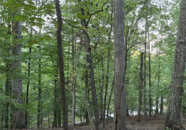 Photo 3 of House for sale at 207 Turk Rd, Townville, SC 29689 | MLS# 20299202 | Listing updated on 2026-07-21