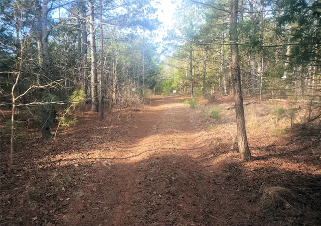 4th image of 00 25 Hwy, Ware Shoals, SC 29692 | MLS# 20299258
