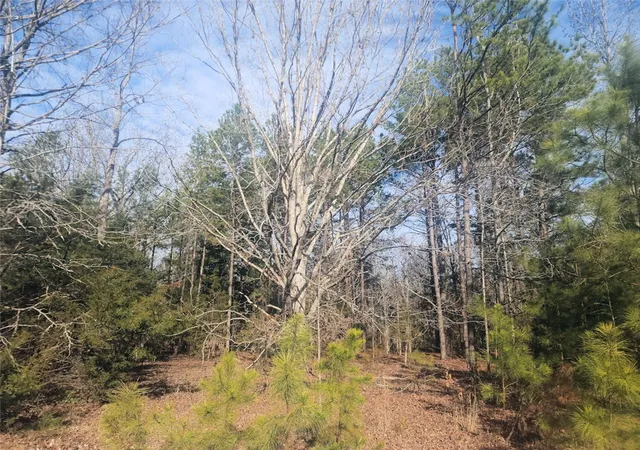 5th image of 00 25 Hwy, Ware Shoals, SC 29692 | MLS# 20299258