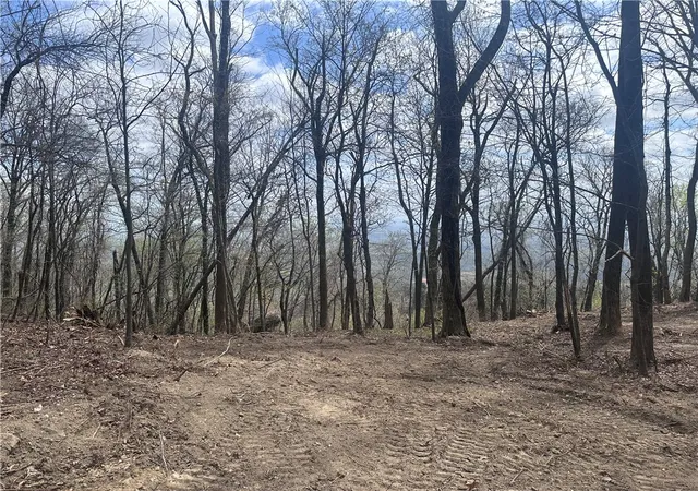 2nd image of 00 Flintrock Knob Ln, Landrum, SC 29356 | MLS# 20299269