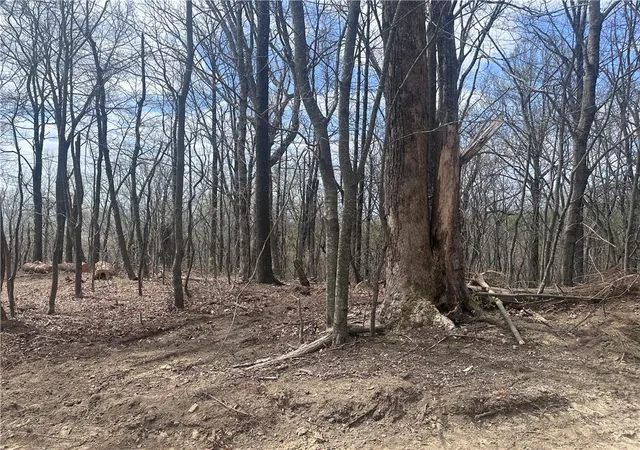 3rd image of 00 Flintrock Knob Ln, Landrum, SC 29356 | MLS# 20299269