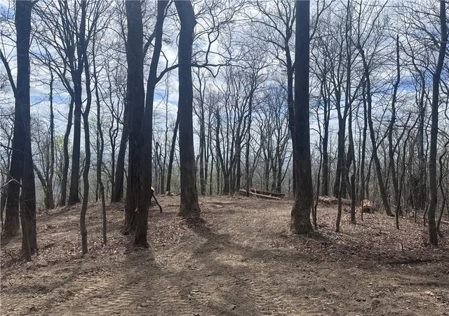 4th image of 00 Flintrock Knob Ln, Landrum, SC 29356 | MLS# 20299269