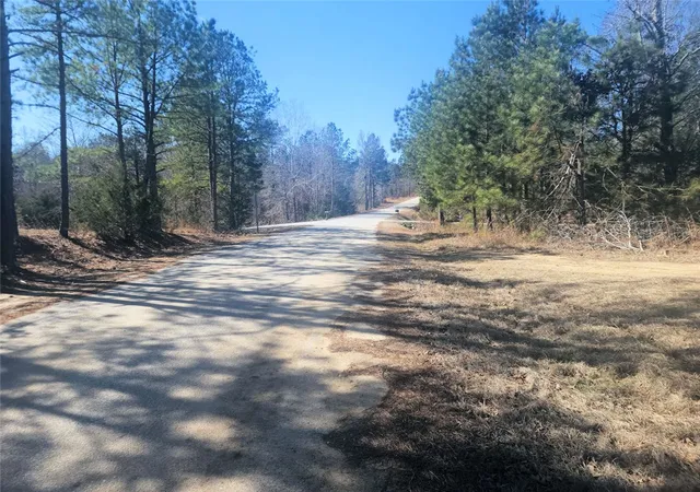 3rd image of 00 Bob White Dr, Waterloo, SC 29384 | MLS# 20299386