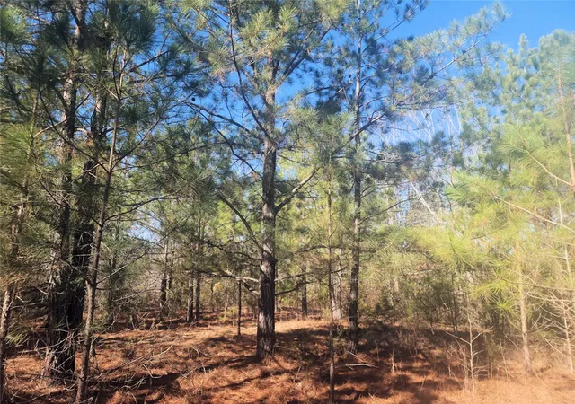 4th image of 00 Bob White Dr, Waterloo, SC 29384 | MLS# 20299386