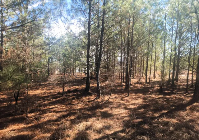 5th image of 00 Bob White Dr, Waterloo, SC 29384 | MLS# 20299386