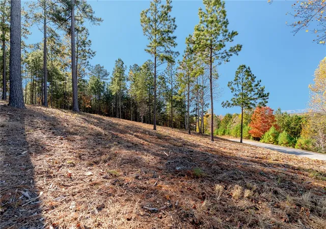 Photo 2 of Land for sale at Lot 72 Hickory Springs Way, Six Mile, SC 29682 | MLS# 20299498 | Listing updated on 2026-07-31