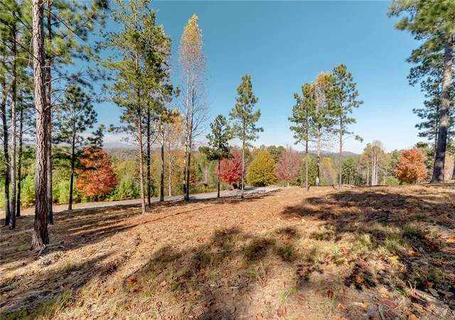 Photo 3 of Land for sale at Lot 72 Hickory Springs Way, Six Mile, SC 29682 | MLS# 20299498 | Listing updated on 2026-07-31