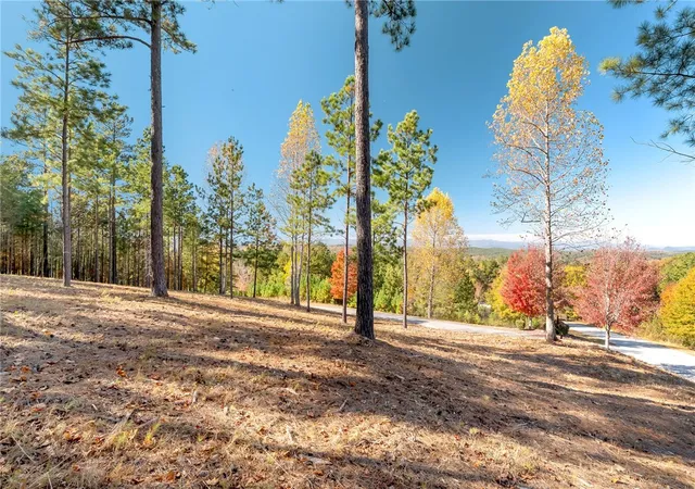 Photo 4 of Land for sale at Lot 72 Hickory Springs Way, Six Mile, SC 29682 | MLS# 20299498 | Listing updated on 2026-07-31