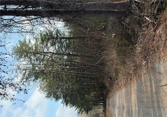 Photo 3 of House for sale at 00 Woodall Mountain Rd, Pickens, SC 29671 | MLS# 20299582 | Listing updated on 2026-05-14