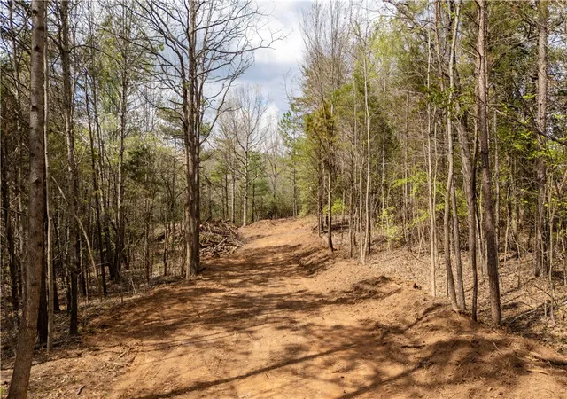 Homes for sale in Pickens, SC | Tbd Massingill Memorial Dr, Pickens, SC 29671 | MLS# 20299605