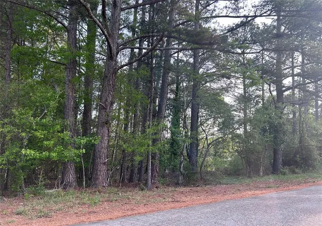 Land for sale at 113 Leon Dr, Anderson, SC 29621 | MLS# 20299712