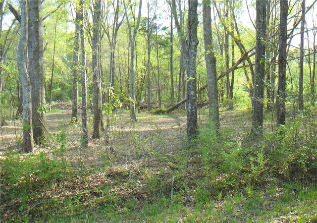 Photo 1 of Land for sale at 1019 Jones Dr, Anderson, SC 29626 | MLS# 20299756 | Listing updated on 2026-07-08