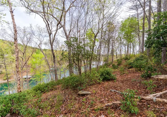 Photo 4 of Land for sale at Lot 4 Bentwood Way, Salem, SC 29676 | MLS# 20299649 | Listing updated on 2026-09-03