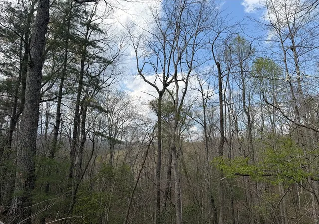 2nd image of 45 Emerald Crest Ln, Cleveland, SC 29635 | MLS# 20299595